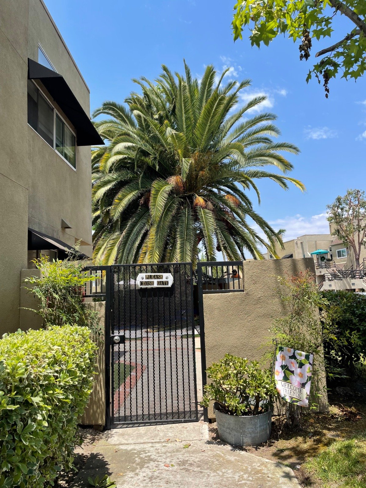 OC Tree Experts real project photo 14