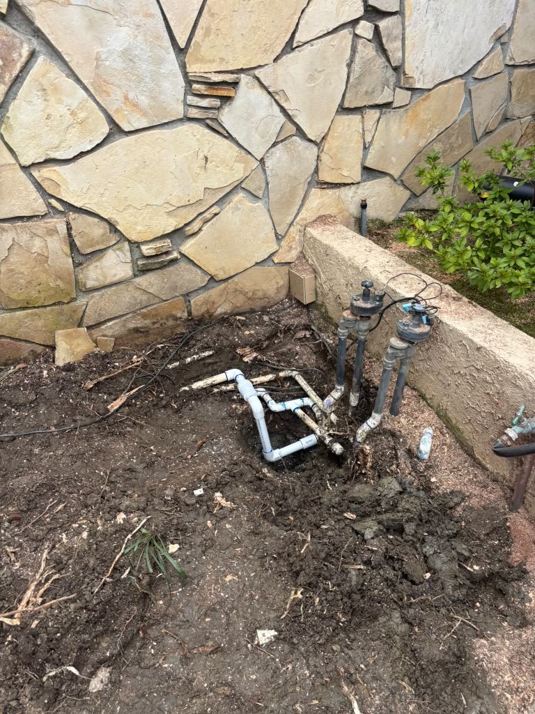 OC Tree Experts real project
