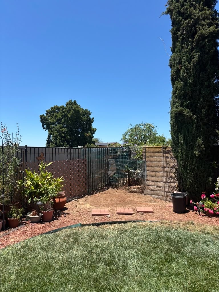 OC Tree Experts outdoor project