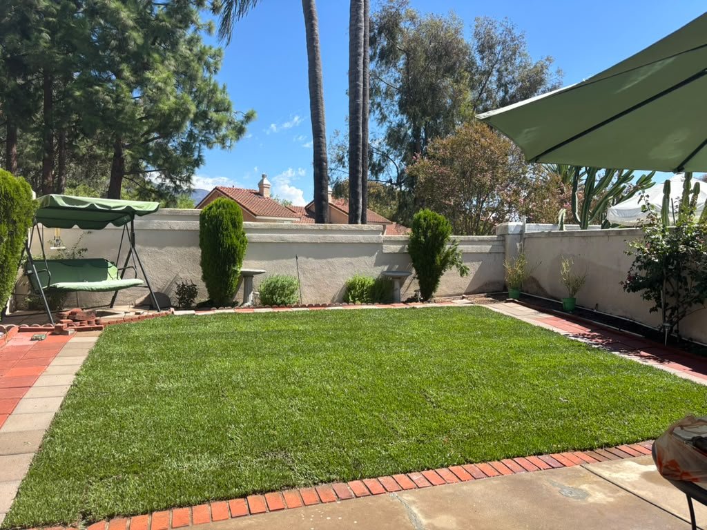 OC Tree Experts completed work