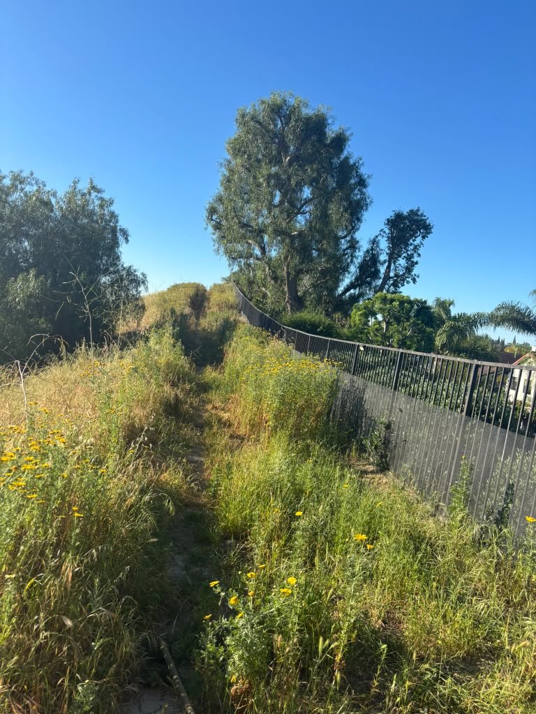 OC Tree Experts completed project