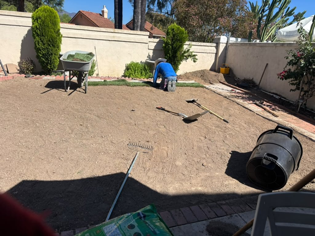 OC Tree Experts real project photo 11